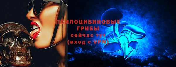 дживик Алексин
