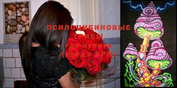 a pvp Алексеевка