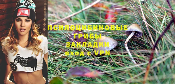 МДПВ Алзамай