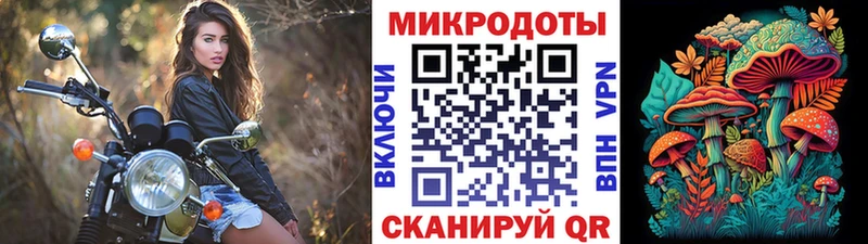 Псилоцибиновые грибы прущие грибы  Закаменск 